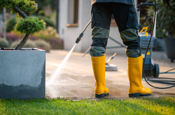 Best Exterior Home Cleaning  in Oakfield, WI